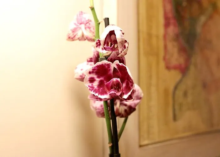 Trastevere Dream House Maison d'hôtes Rome